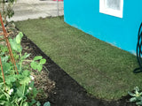 Kurapia lawn layer