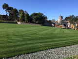 enduro fescue grass