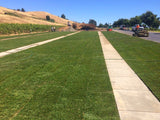 enduro grass