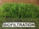 Native alternative Biofiltration Sod - Bay Area Sod and Seed