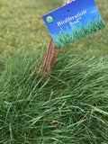 California Native Biofiltration Grass