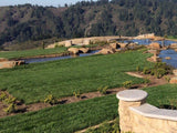 enduro sod