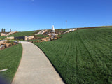 Enduro Dwarf Tall Fescue Sod