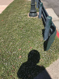kurapia turf Berkeley California