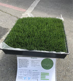 Ryegrass - Bay Area Sod and Seed