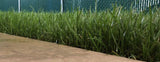 Medallion Plus Grass