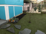 Kurapia turf sod