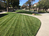enduro grass lawn
