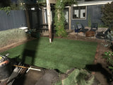 Delta Blue Rye - Bay Area Sod and Seed