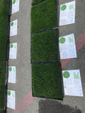Delta Blue Rye - Bay Area Sod and Seed