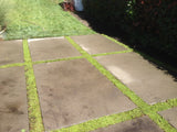 Kurapia grass sod price