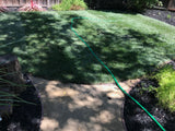 grass for shaded areas