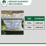 Kentucky Bluegrass Seed