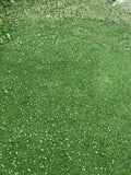 Kurapia grass prices