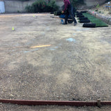 kurapia grass install