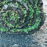kurapia grass roll