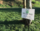 Mow Free / No Mow Grass