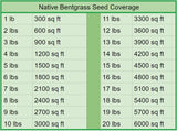 California Native Grass Seed Coverage
