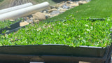 Frog Fruit Ground Cover – Sod and Seed, Inc.