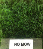 mow free sod also called no mow