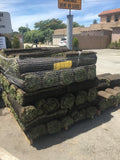 Pallet of Hybrid Fescue