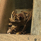 Red Wood Chip Mulch