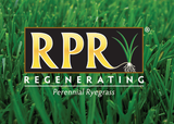 Rye Grass Sod
