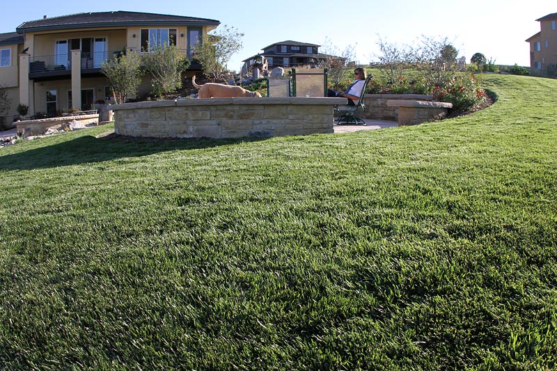 rtf grass seed lowe's RTF® Rhizomatous Tall Fescue Sod Los Angeles – Sod and Seed, Inc