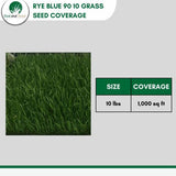 Rye Blue Grass Seed 90 10