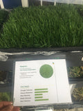ryegrass sample with ratings