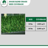 Shade Blend Fescue Seed for Grass Lawn