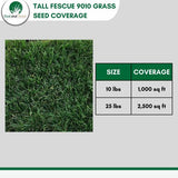 Tall Fescue Grass Seed 9010