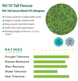 tall fescue grass ratings