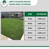 West Coaster Tall Fescue Grass Seed