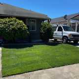West Coaster Tall Fescue Sod