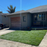 West Coaster Tall Fescue Sod