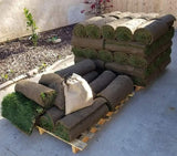 west coast tall fescue sod delivery on pallet