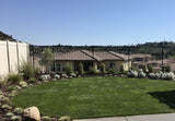 West Coast turf